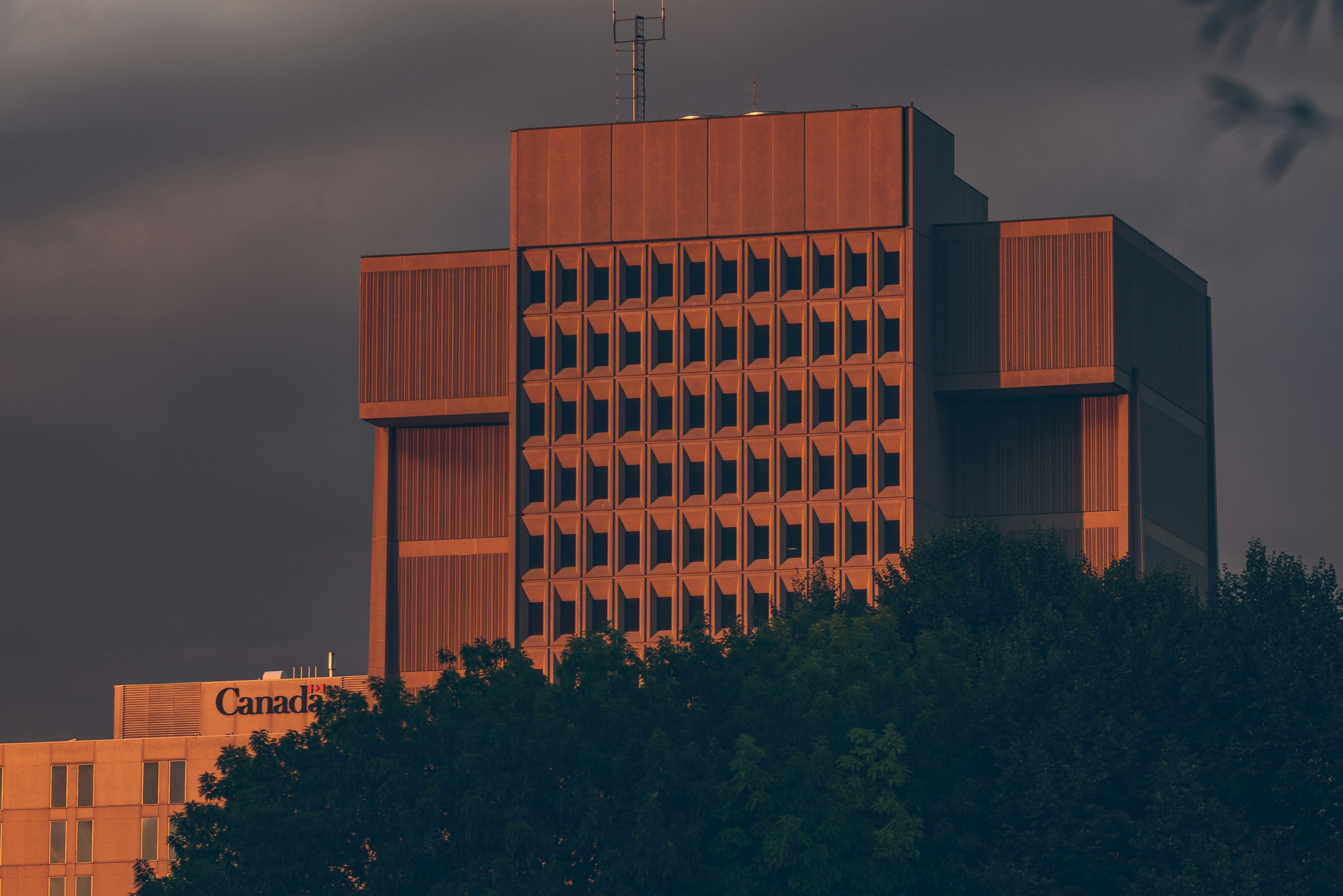 brown concrete building during night time